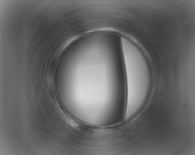 X0000081421281200701120935