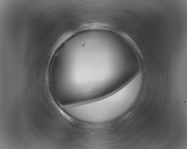 X0000081421285200701120934