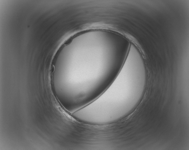 X0000081421288200701120934