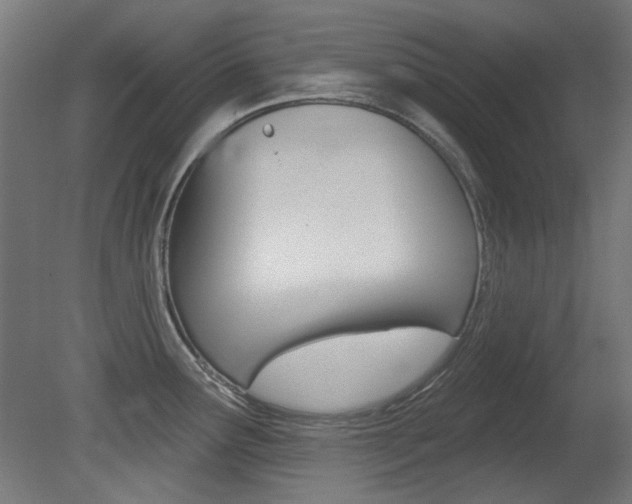 X0000081421291200701120934