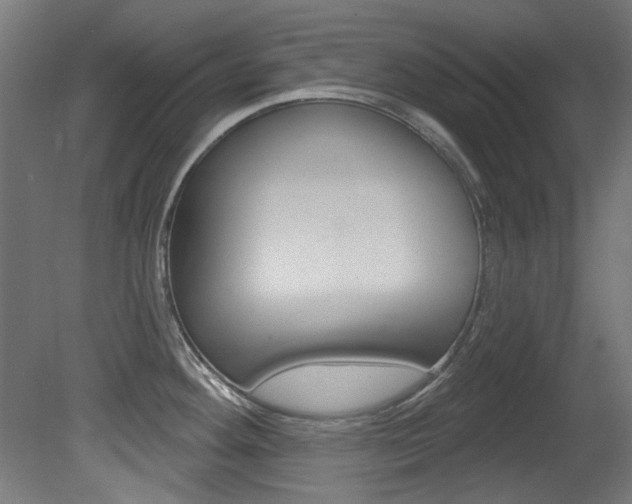 X0000081421292200701120934