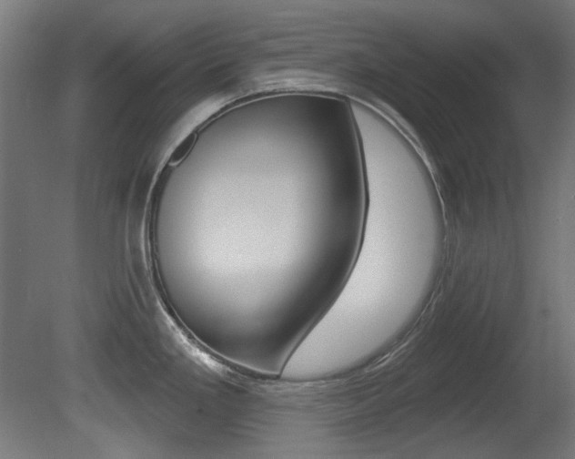 X0000081421293200701120934