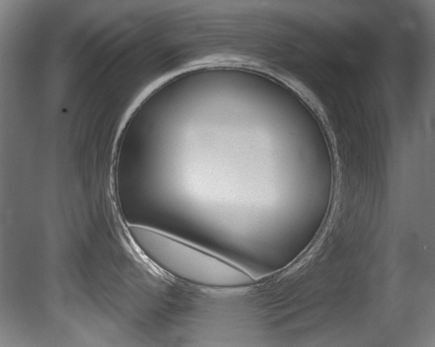 X0000081421296200701120934