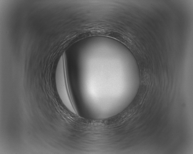 X0000081421297200701120933