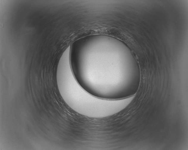X0000081421298200701120934