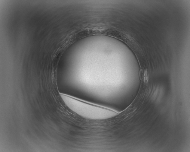 X0000081421299200701120934