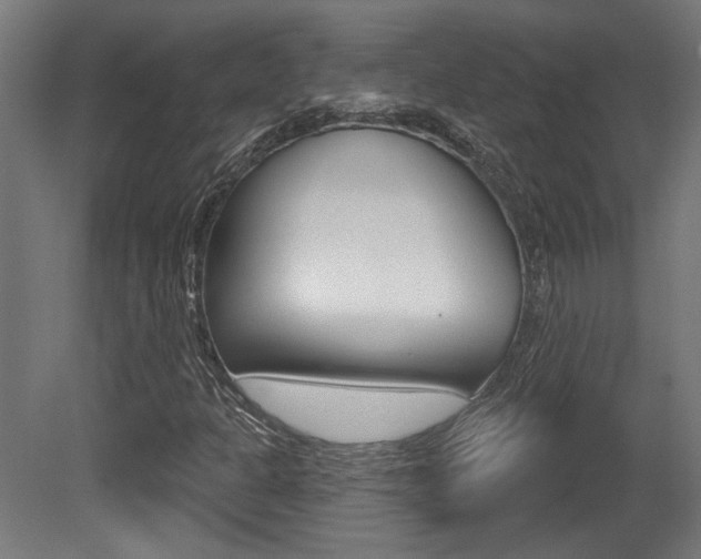 X0000081421301200701120934