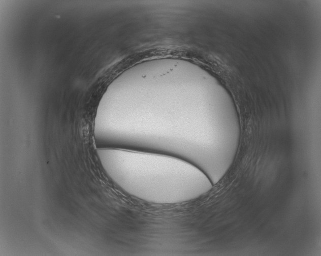 X0000081421302200701120934