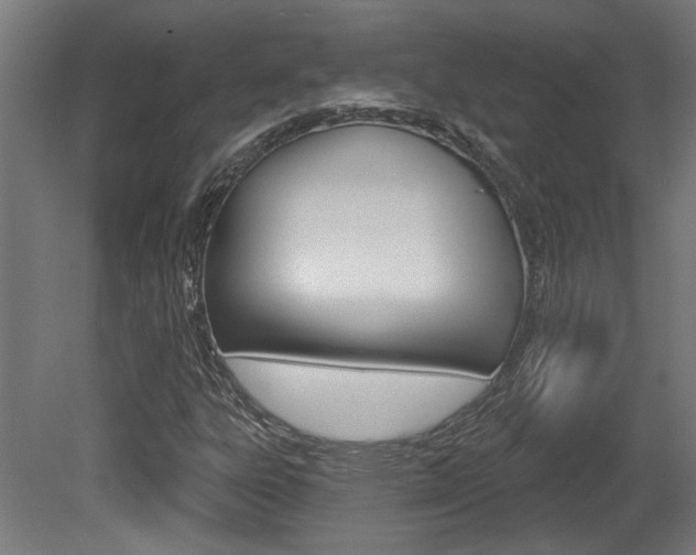 X0000081421303200701120934