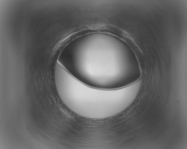 X0000081421304200701120934