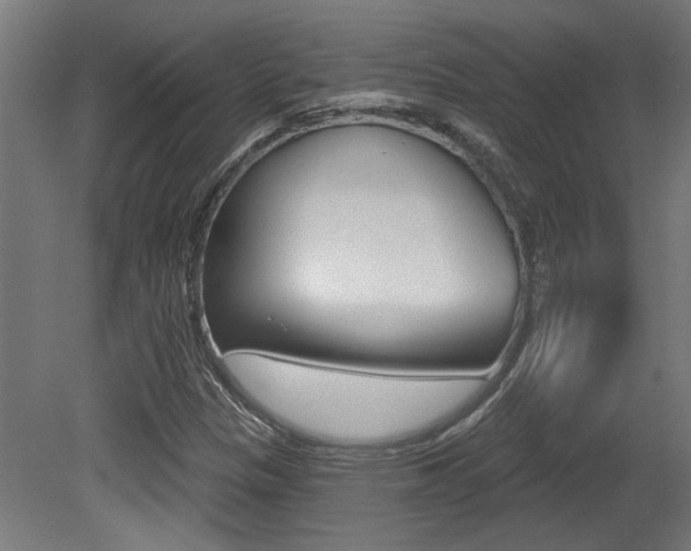 X0000081421305200701120934