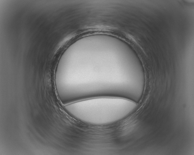 X0000081421307200701120934