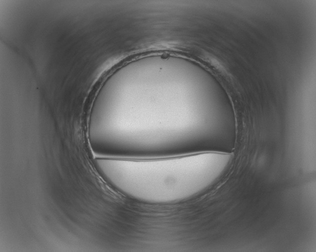 X0000081421308200701120934
