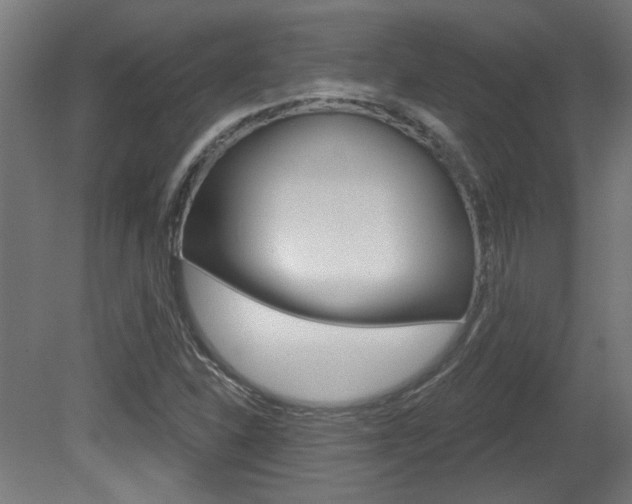 X0000081421310200701120934