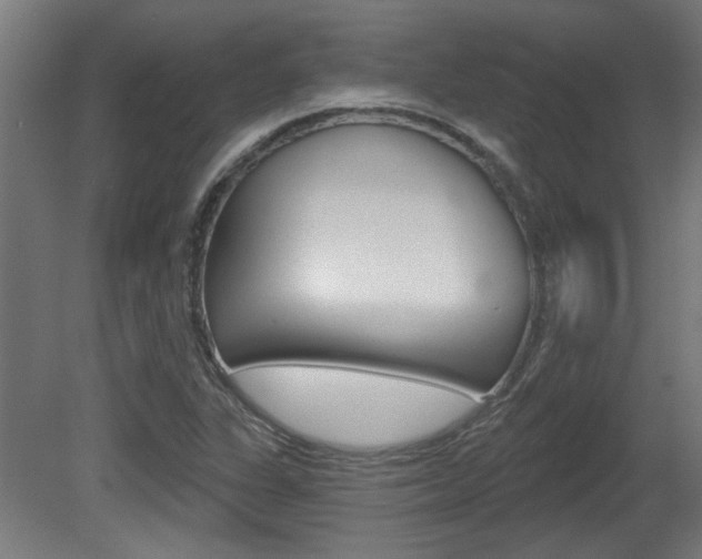 X0000081421311200701120934