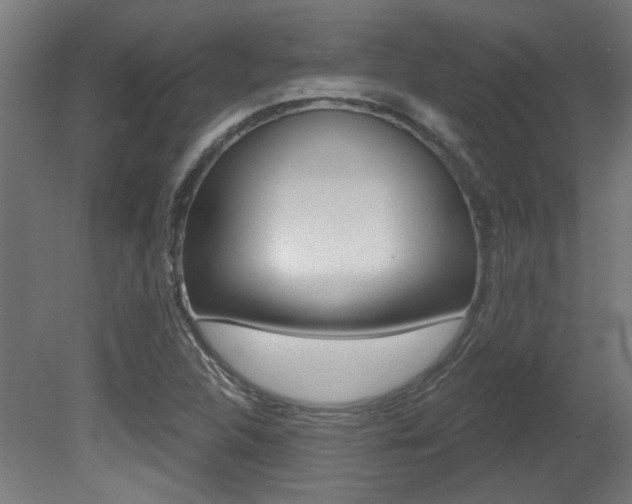 X0000081421312200701120934