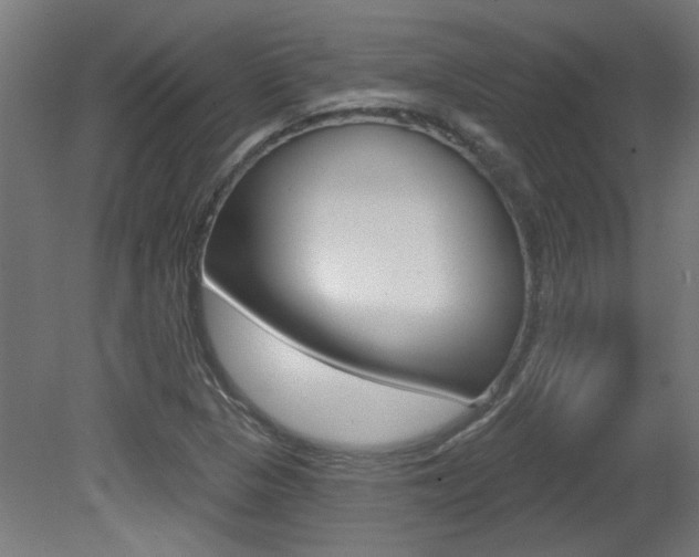 X0000081421313200701120934