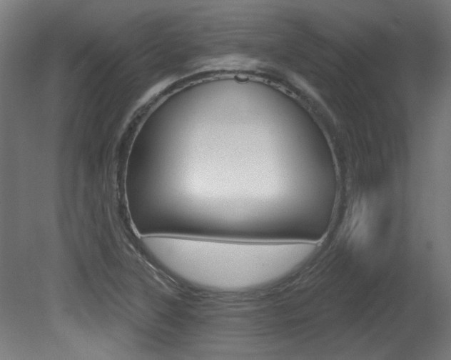 X0000081421315200701120934