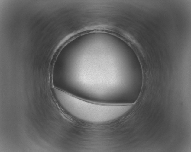 X0000081421316200701120934