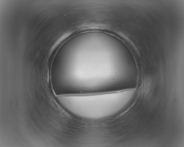 X0000081421317200701120934