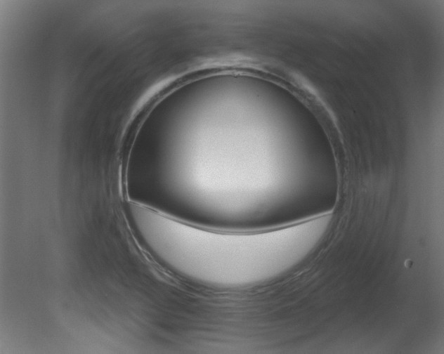X0000081421320200701120934