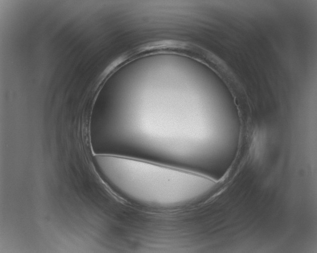 X0000081421321200701120934