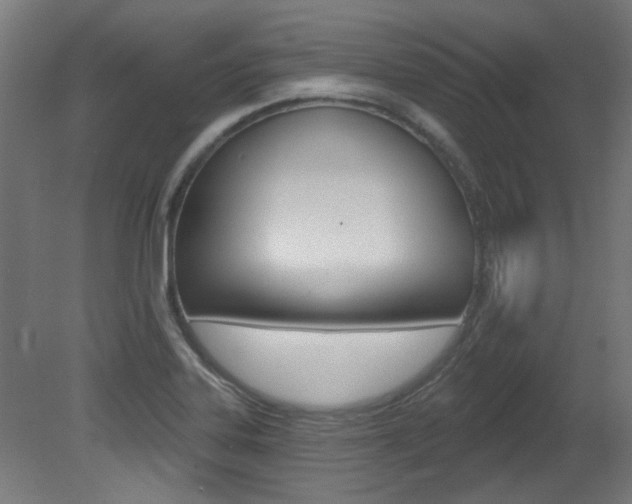 X0000081421323200701120934