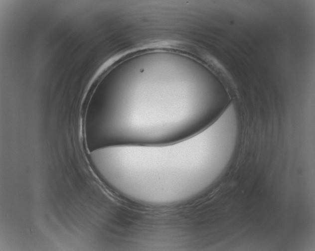 X0000081421324200701120934
