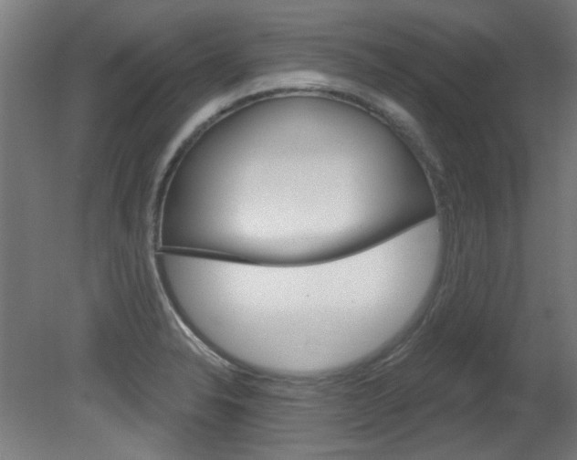 X0000081421326200701120934