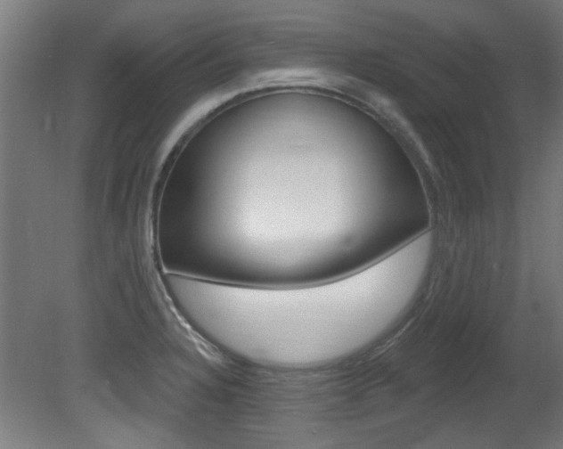 X0000081421328200701120934