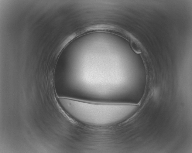 X0000081421329200701120934