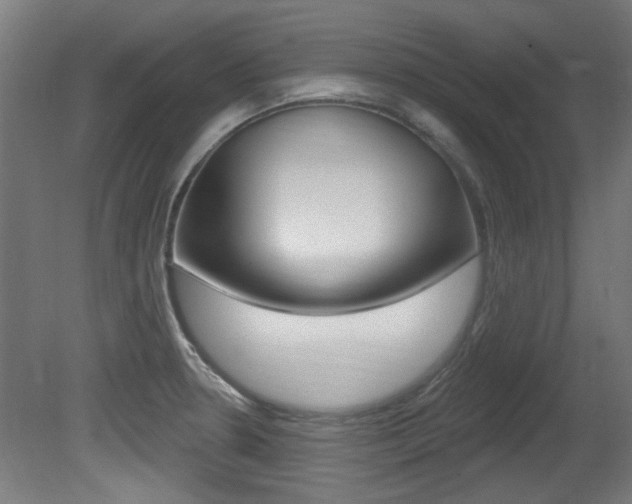 X0000081421330200701120934