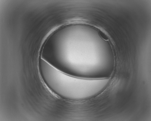 X0000081421333200701120934