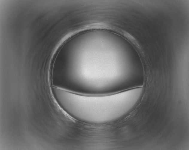 X0000081421334200701120934