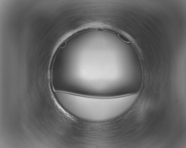 X0000081421335200701120934