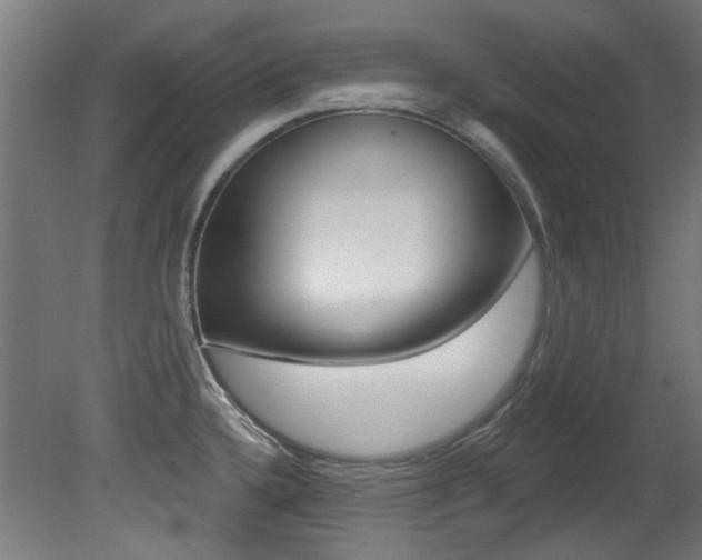 X0000081421336200701120934