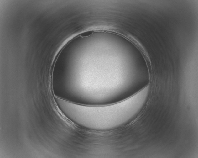 X0000081421340200701120934