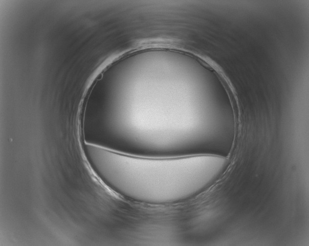 X0000081421341200701120934