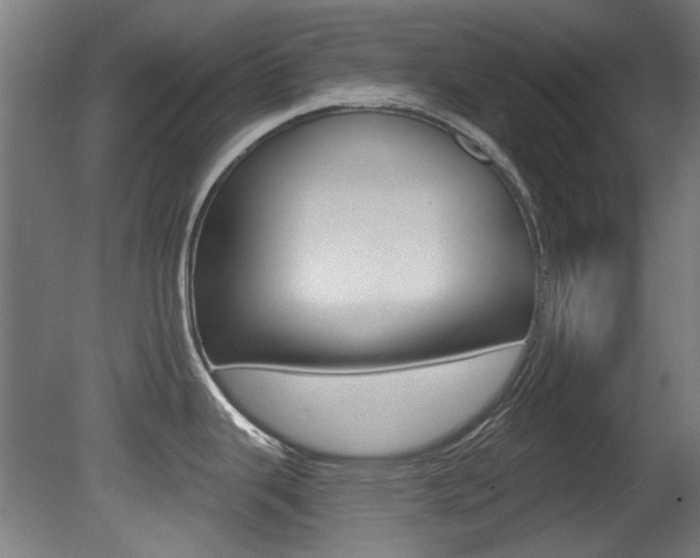X0000081421343200701120934
