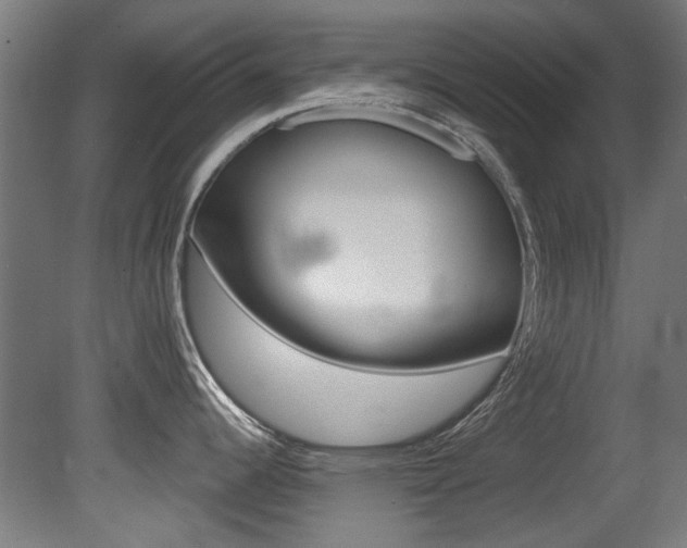 X0000081421344200701120934