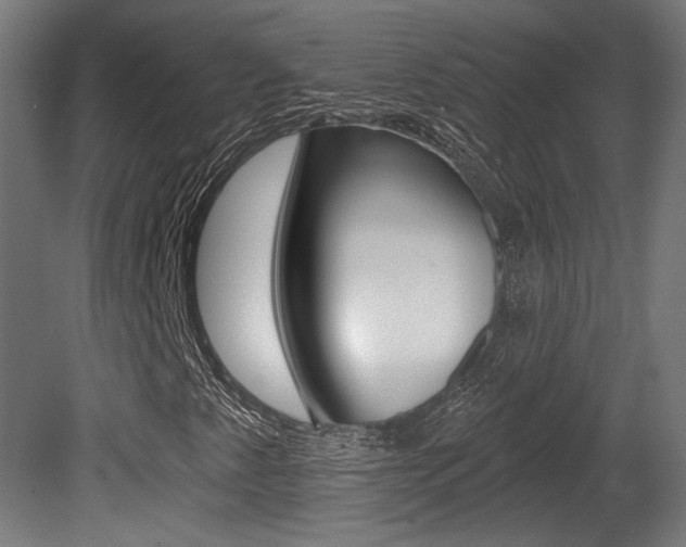 X0000081421345200701120933