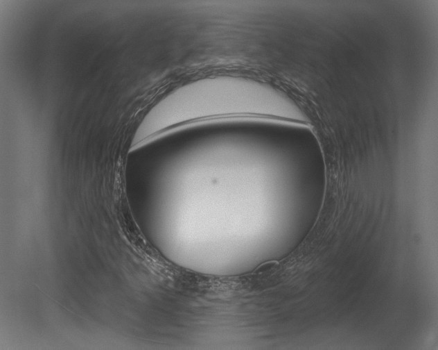 X0000081421349200701120933