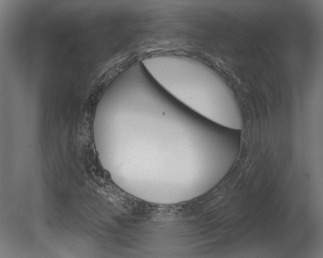 X0000081421350200701120933