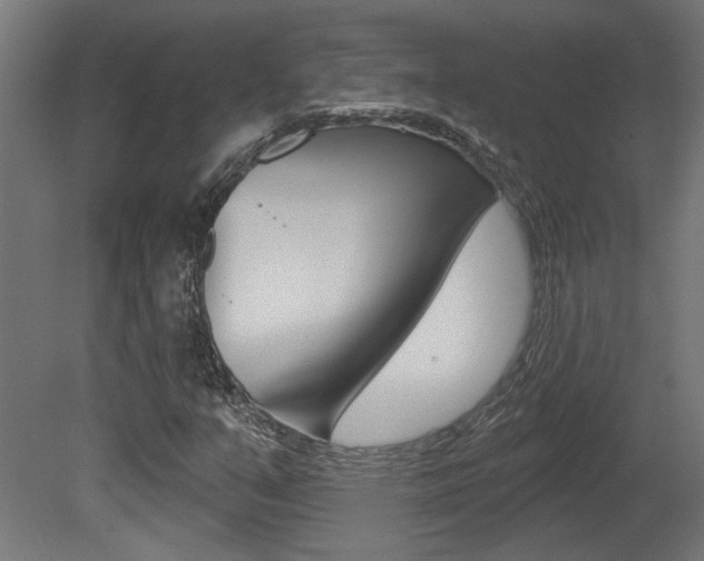 X0000081421351200701120933