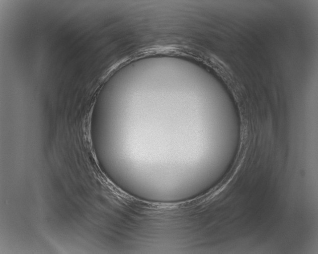 X0000081421353200701120933