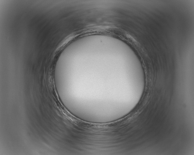 X0000081421354200701120933