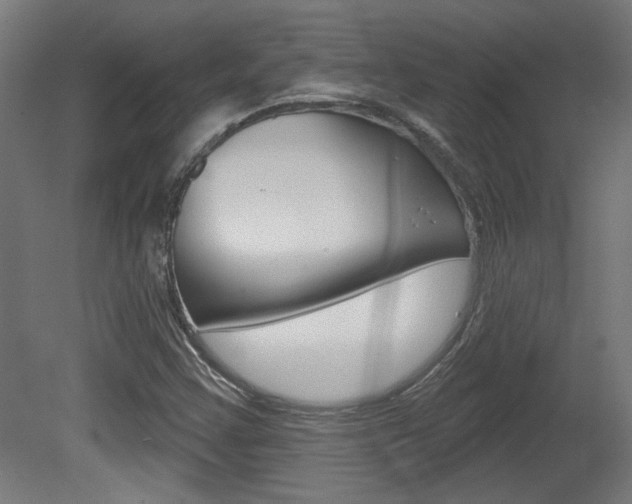 X0000081421355200701120933