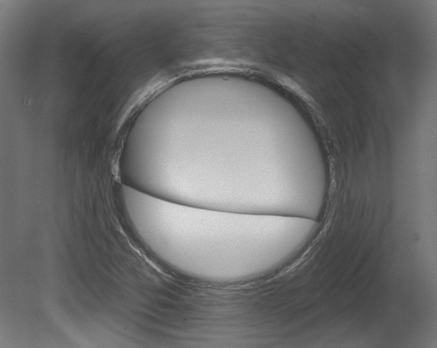 X0000081421357200701120933