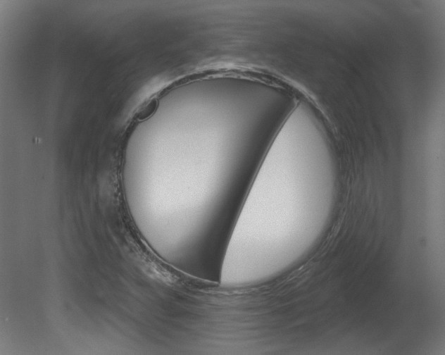 X0000081421359200701120933