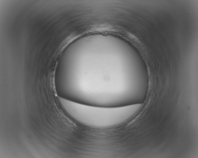 X0000081421361200701120933